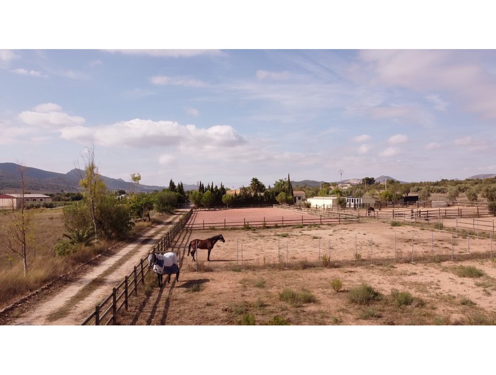 Resale - Country Property - Hondon de las Nieves