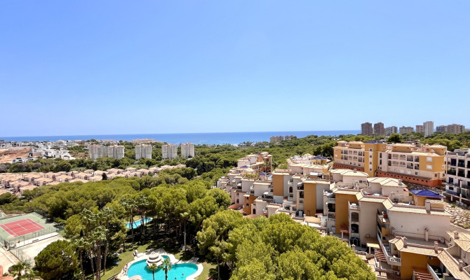 Apartment - Resale - Dehesa de Campoamor - CMO-98564