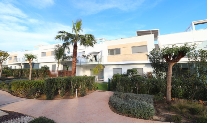 Apartment - Resale - Los Montesinos - Entre Naranjos / Vistabella Golf