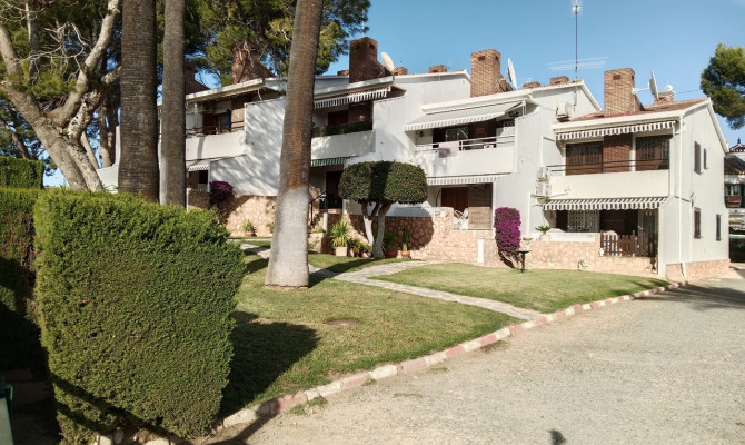 Apartment - Resale - Villamartin - Villamartin