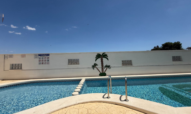 Apartment - Revente - Daya Nueva - Daya Nueva