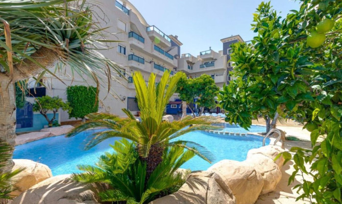 Apartment - Sprzedaż - Cabo Roig - Cabo Roig