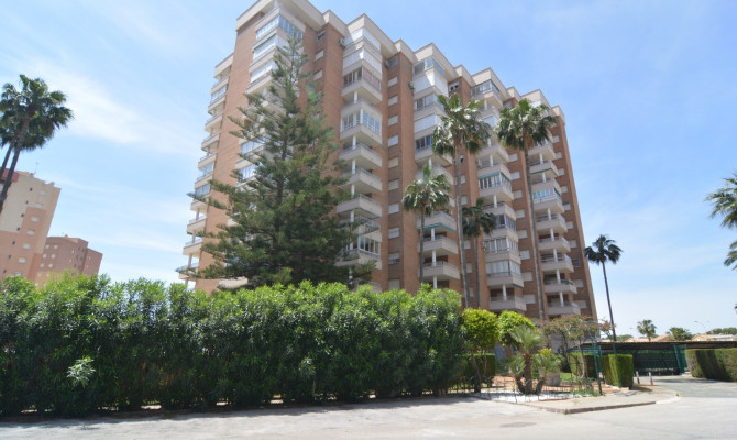 Apartment - Sprzedaż - Dehesa de Campoamor - Dehesa de campoamor