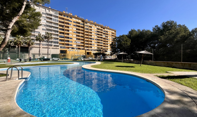 Apartment - Sprzedaż - Dehesa de Campoamor - Dehesa de campoamor