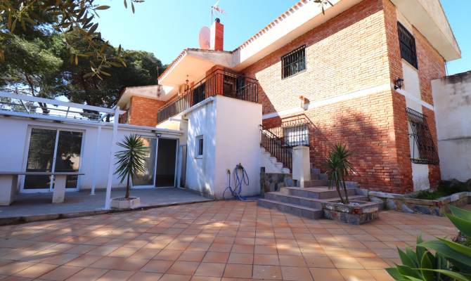 Apartment - Sprzedaż - Pinar de Campoverde - Pinar de Campoverde