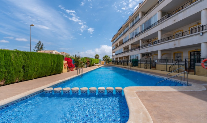 Apartment - Sprzedaż - Playa Flamenca - Playa Flamenca