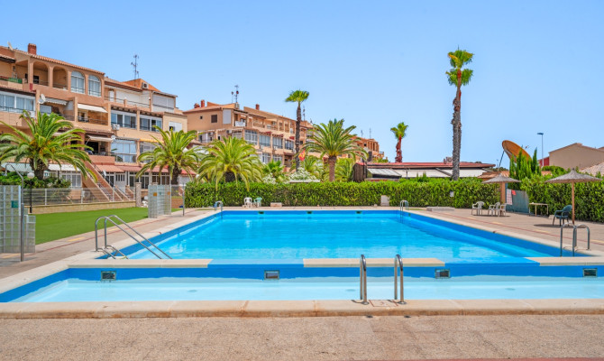 Apartment - Sprzedaż - Torrevieja - Torrevieja - Aguas Nuevas