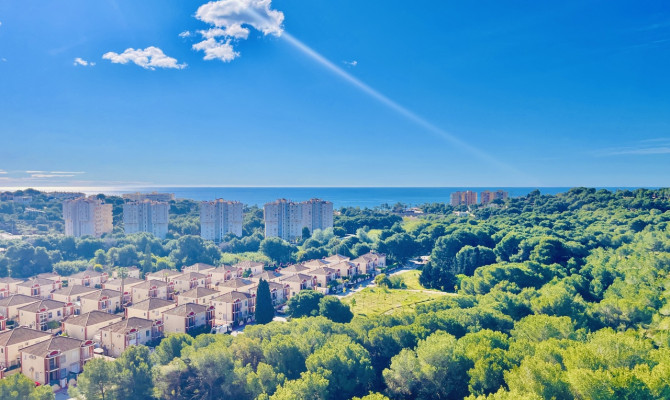 Apartment - Venta - Dehesa de Campoamor - Dehesa de campoamor