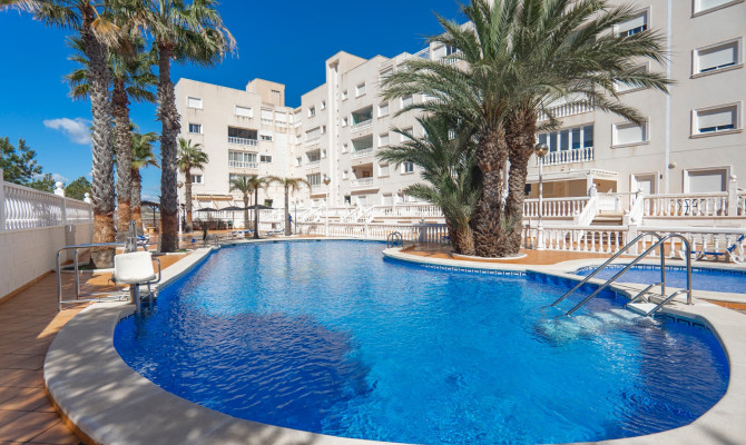 Apartment - Venta - Guardamar del Segura - DLF098