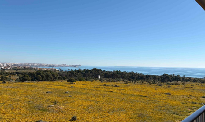 Apartment - Venta - Orihuela Costa - Punta Prima
