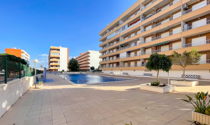 Apartment - Venta - Punta Prima - Punta Prima
