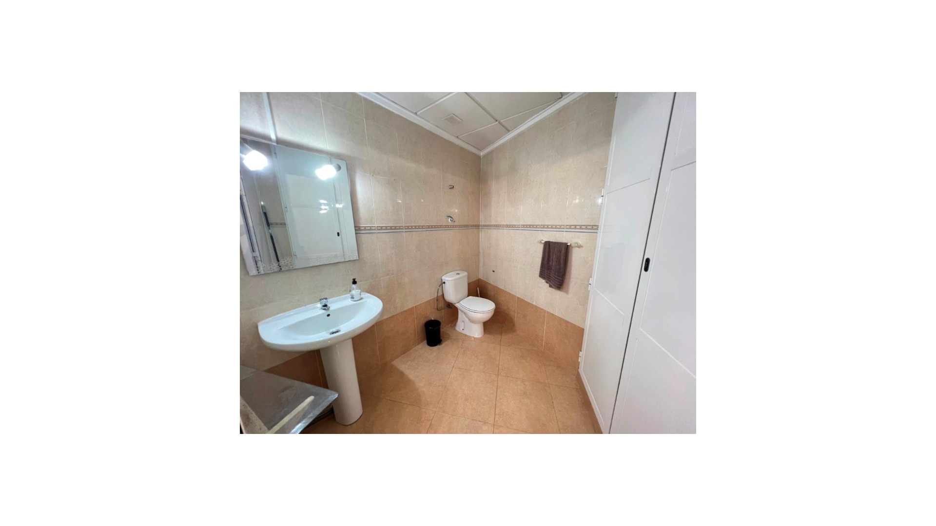 Buy Comercial unit Guardamar