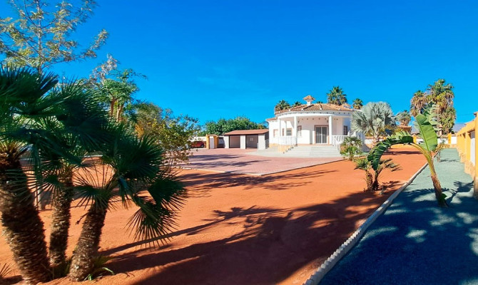 Country Property - Resale - Catral - Catral - Country