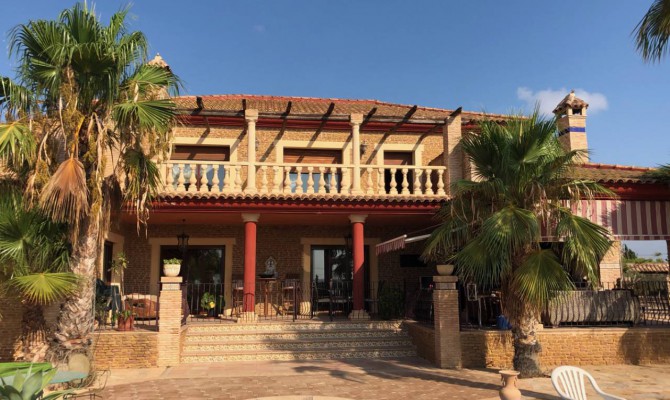 Country Property - Resale - Los Montesinos - QMS-22960