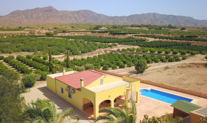 Country Property - Revente - Albatera - Albatera - Country
