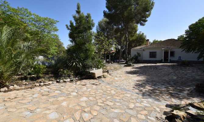 Country Property - Revente - Algorfa - AJA-79429