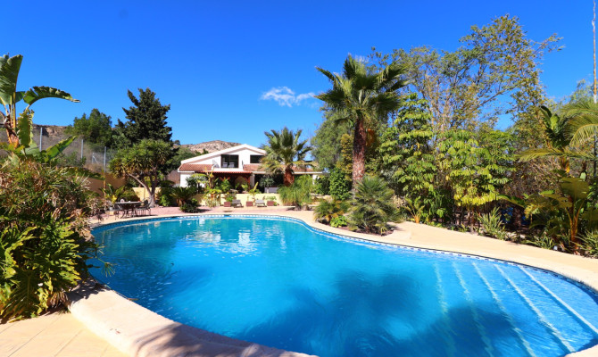 Country Property - Revente - Aspe - Aspe - Country