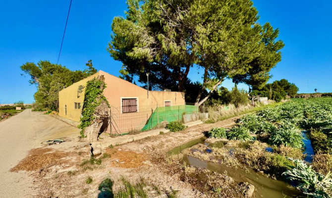 Country Property - Revente - Guardamar del Segura - Guardamar del Segura