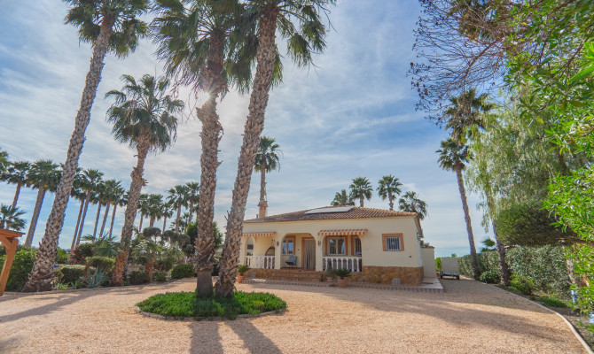 Country Property - Revente - Orihuela - DLF085
