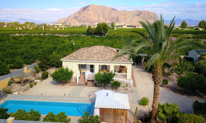 Country Property - Revente - Orihuela - La Campaneta