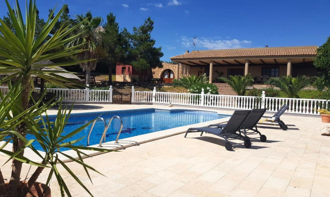 Country Property - Sprzedaż - El Esparragal - CMO-96261