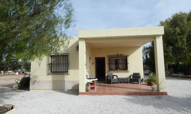 Country Property - Sprzedaż - La Marina - La Marina