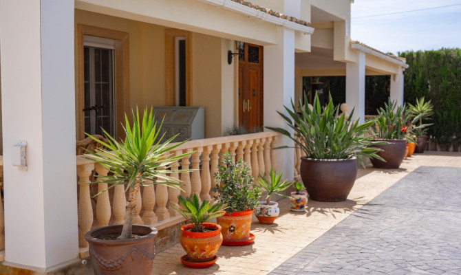 Country Property - Sprzedaż - Las Heredades - AJA-76601