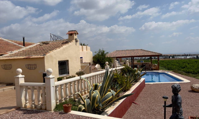 Country Property - Sprzedaż - Orihuela - Orihuela