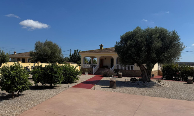 Country Property - Venta - Catral - Catral