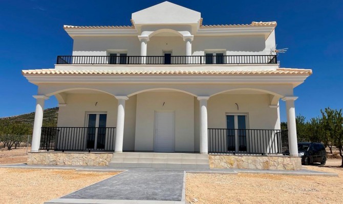 Detached Villa - Nowa konstrukcja - Pinoso - LFX-32828