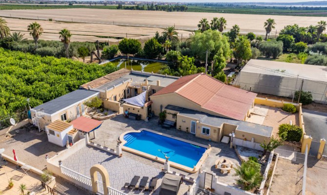 Detached Villa - Sale - Los Montesinos - Los Montesinos