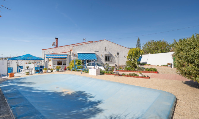 Detached Villa - Venta - Ciudad Quesada - Ciudad Quesada