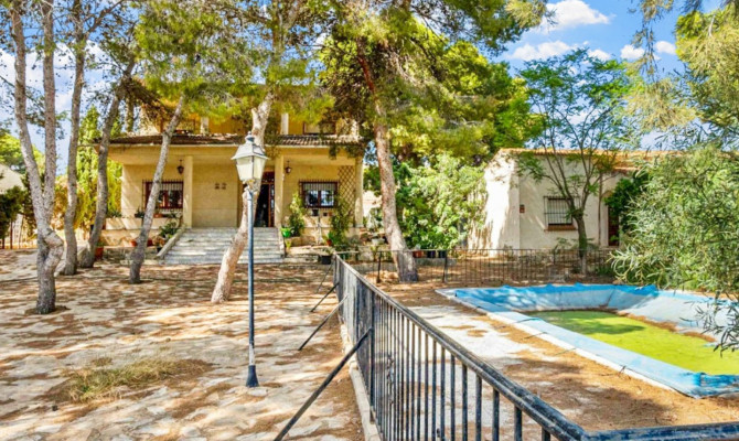 Detached Villa - Venta - Torrevieja - JMO-18819