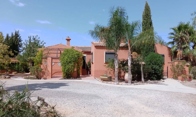 Finca / Country Property - Sale - Catral - Catral