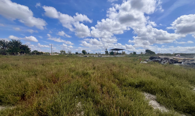 Grundstück / Land - Resale - Catral - CMO-13085