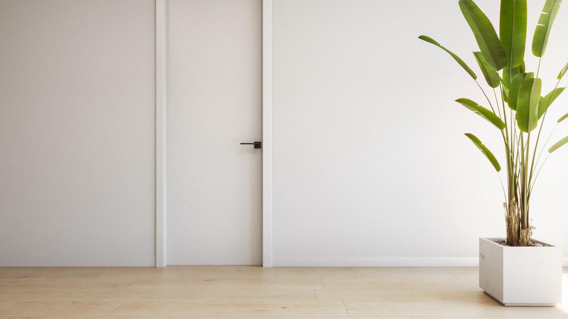 New Build - Apartment - Torrevieja - Playa de El Cura