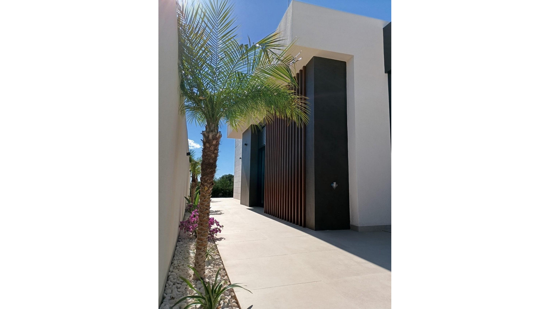 New Build - Detached Villa - Pilar de La Horadada - Lo Romero Golf