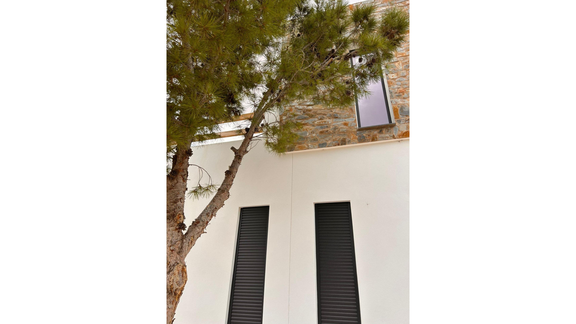 New Build - Detached Villa - Pinoso - Casas Pastor