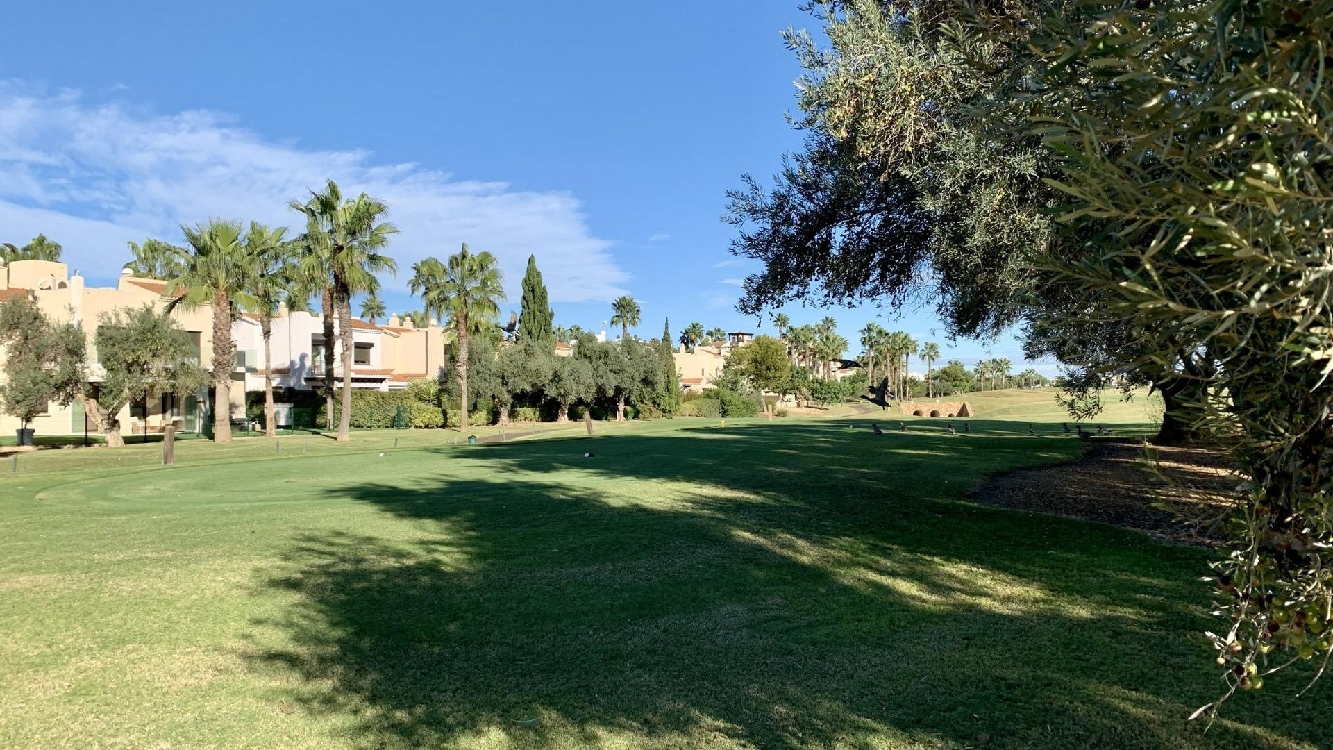 New Build - Detached Villa - San Javier - Roda Golf