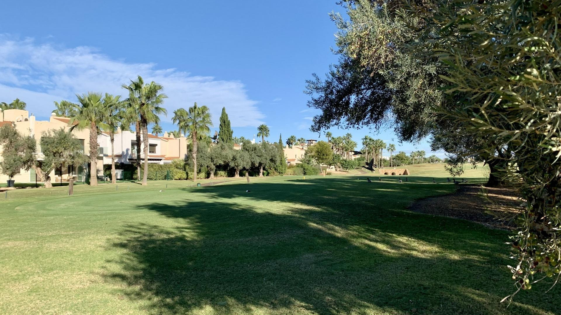 Nieuwbouw - Bungalow - San Javier - Roda Golf