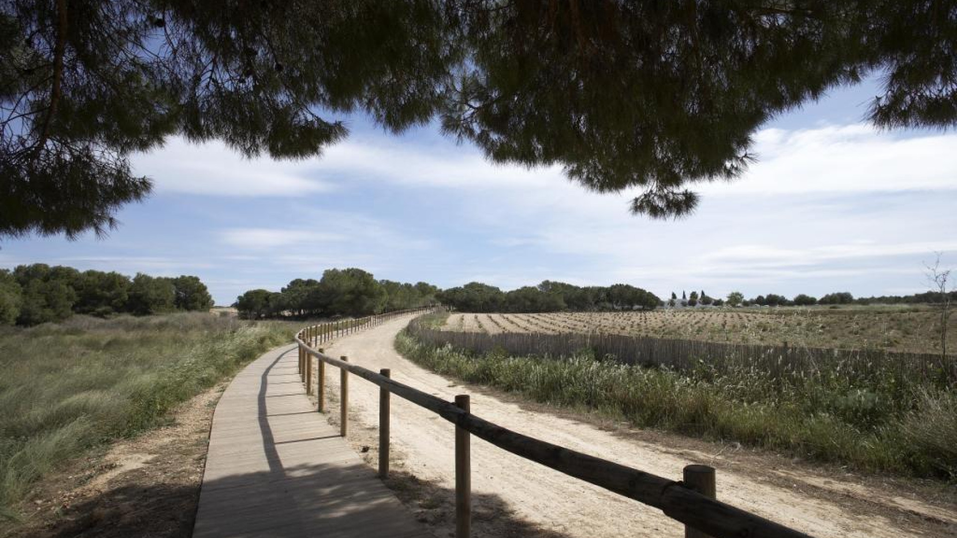 Nieuwbouw - Bungalow - Torrevieja - Aguas Nuevas