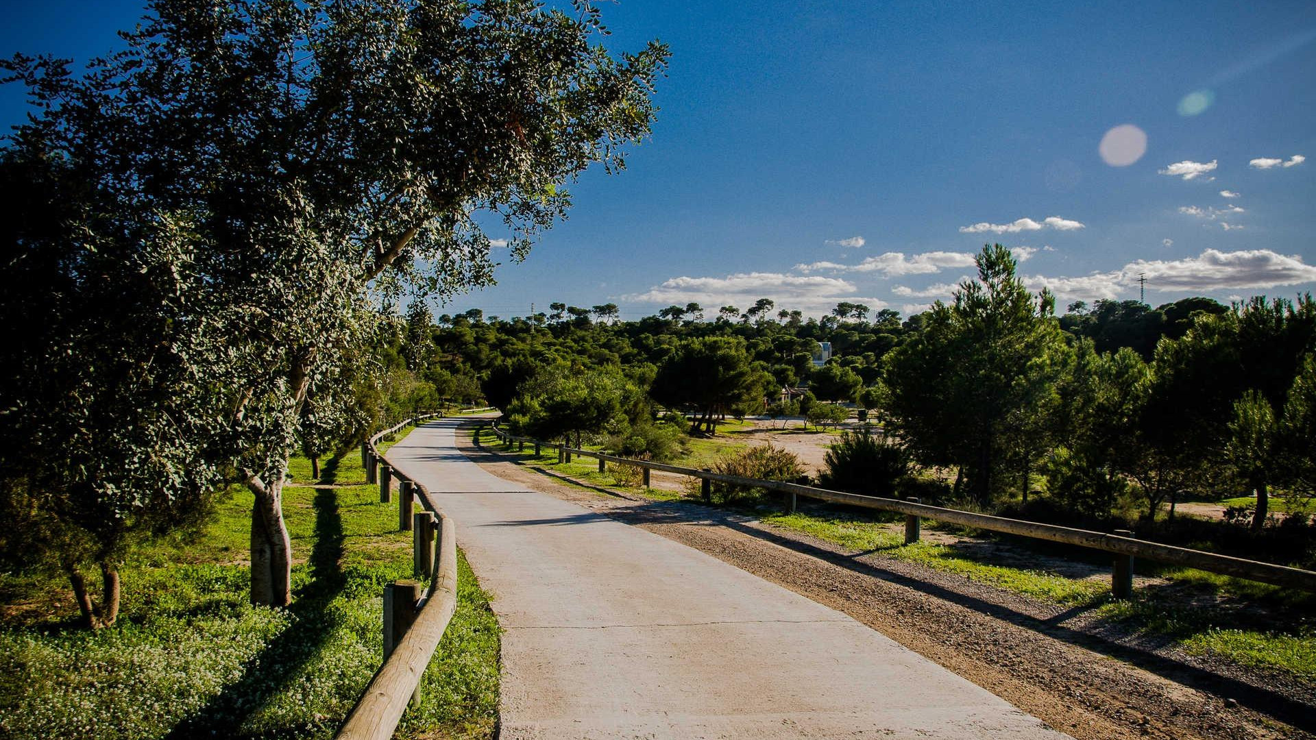 Nieuwbouw - Detached Villa - Rojales - Ciudad Quesada