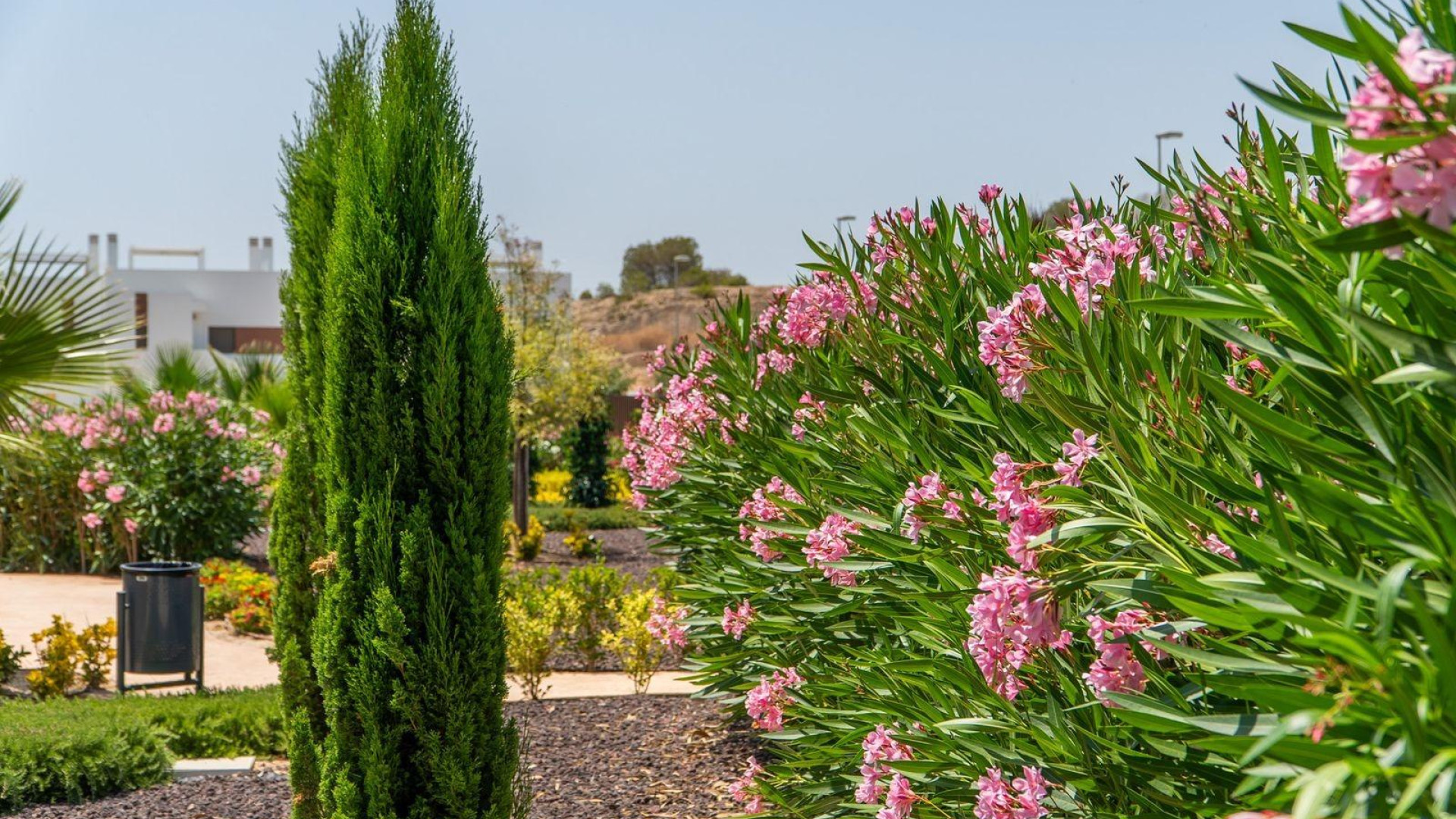 Nouvelle construction - Apartment - Orihuela - Vistabella Golf