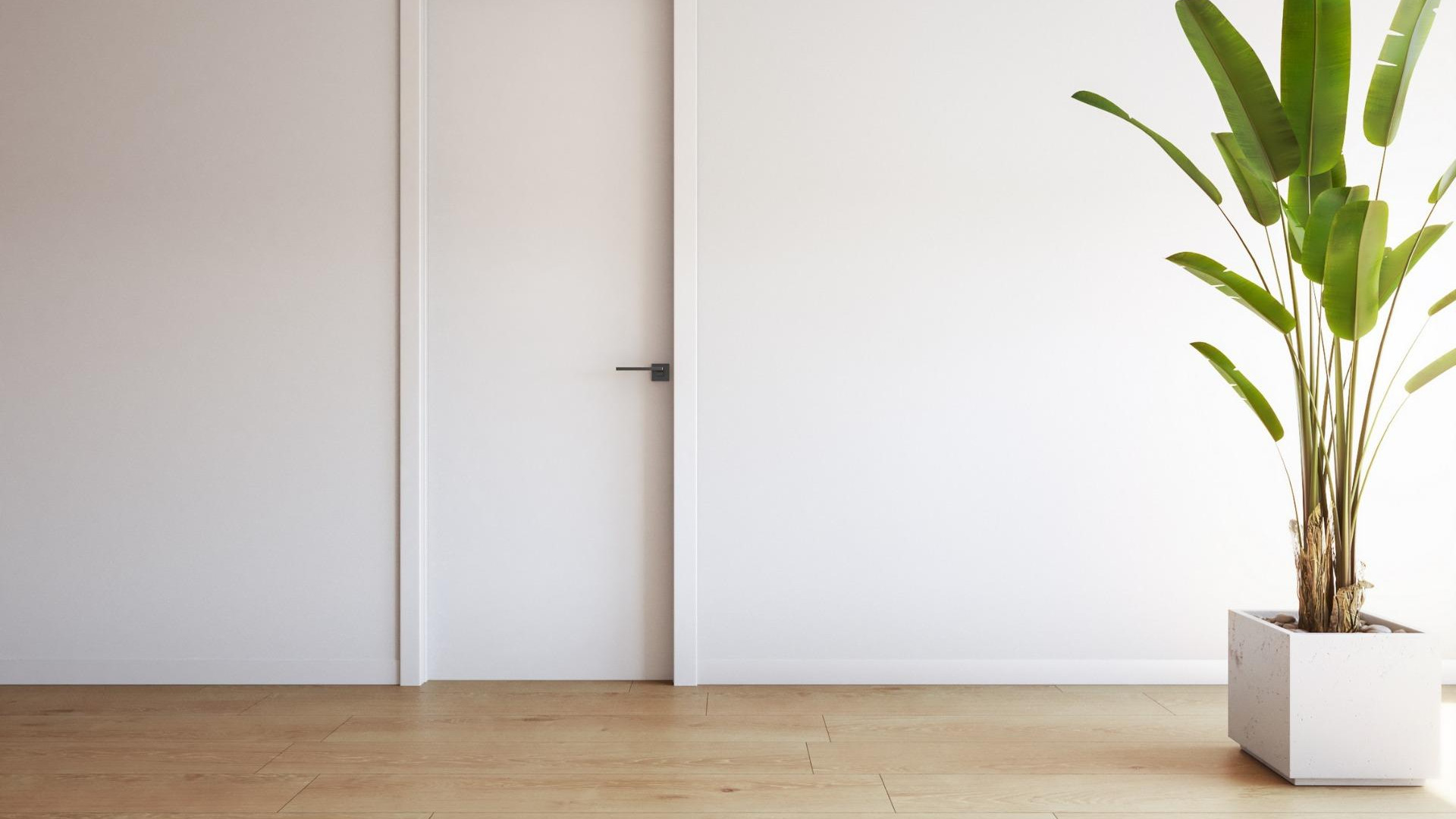 Nouvelle construction - Apartment - Torrevieja - Playa de El Cura