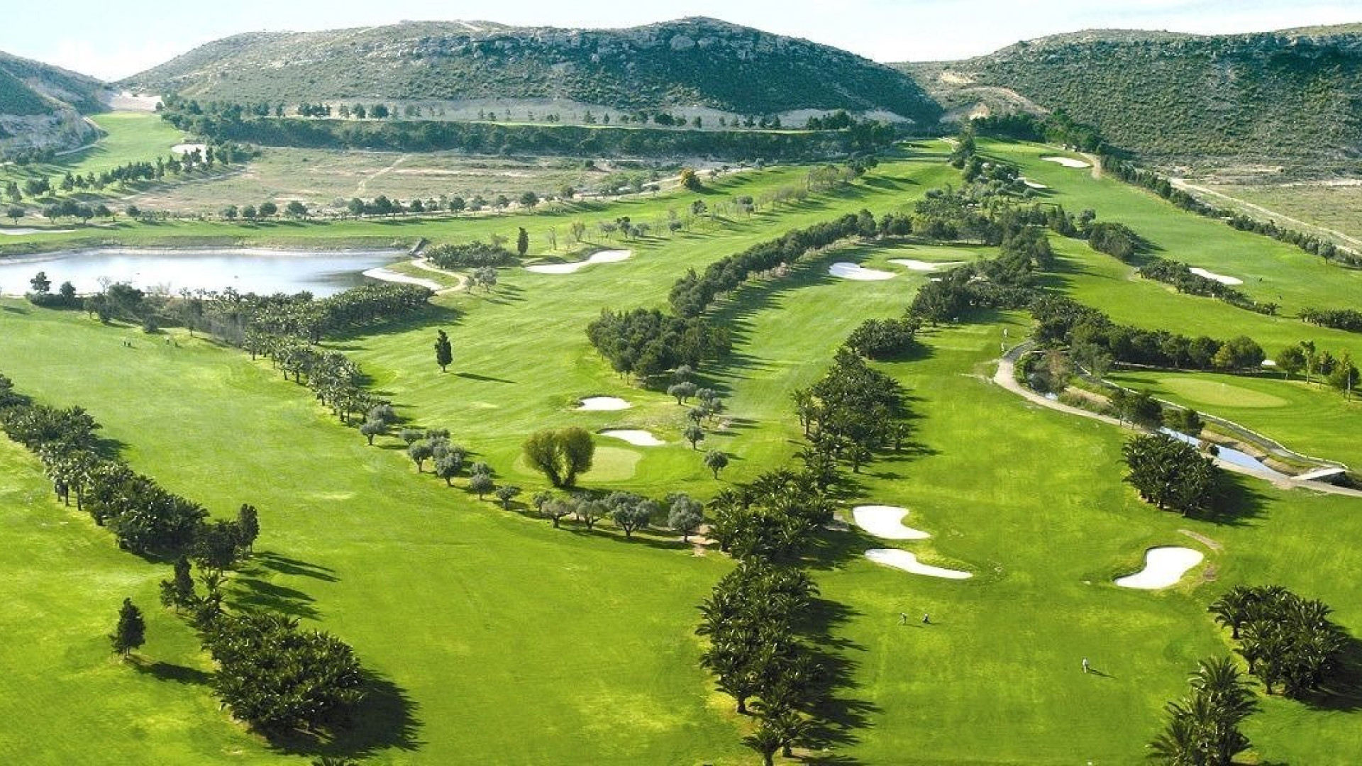 Nouvelle construction - Detached Villa - Banos y Mendigo - Altaona Golf