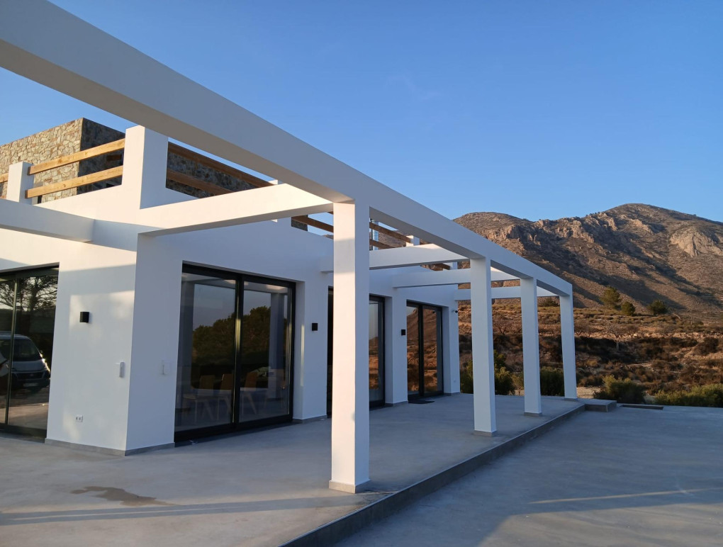 Nouvelle construction - Detached Villa - Pinoso - Casas Pastor
