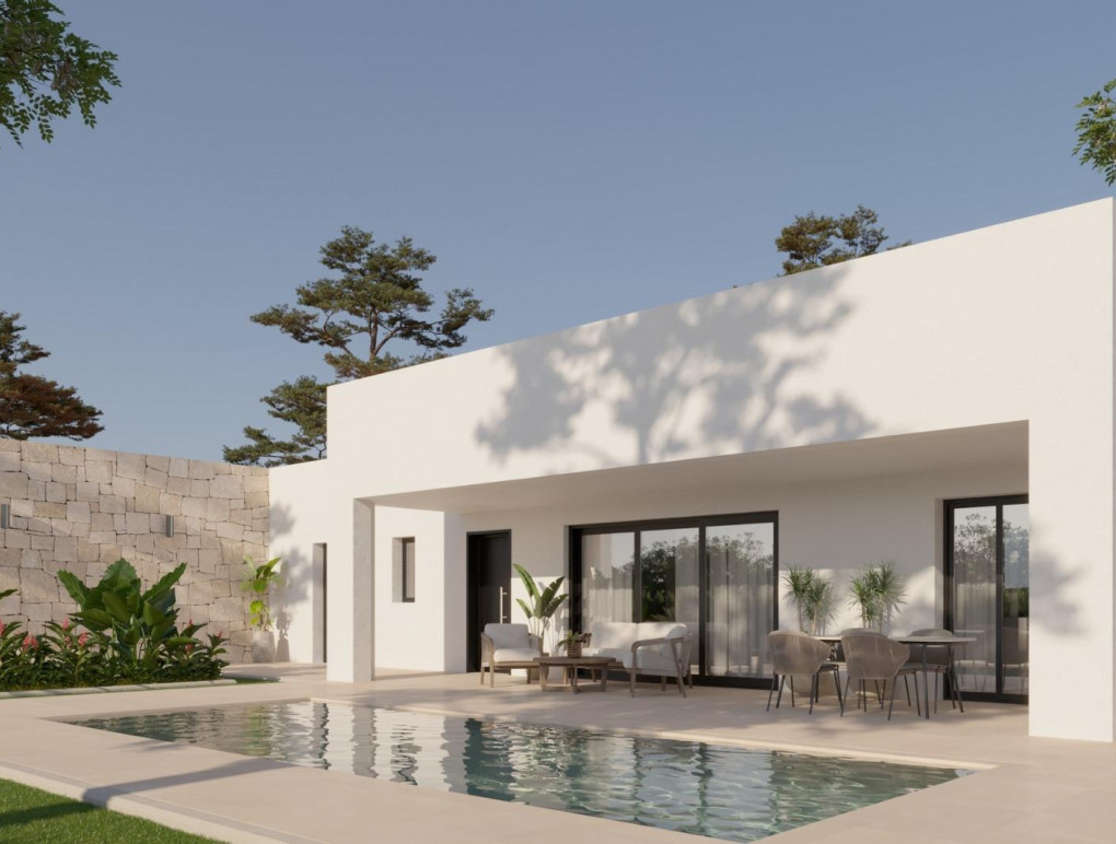 Nouvelle construction - Detached Villa - Pinoso - Lel