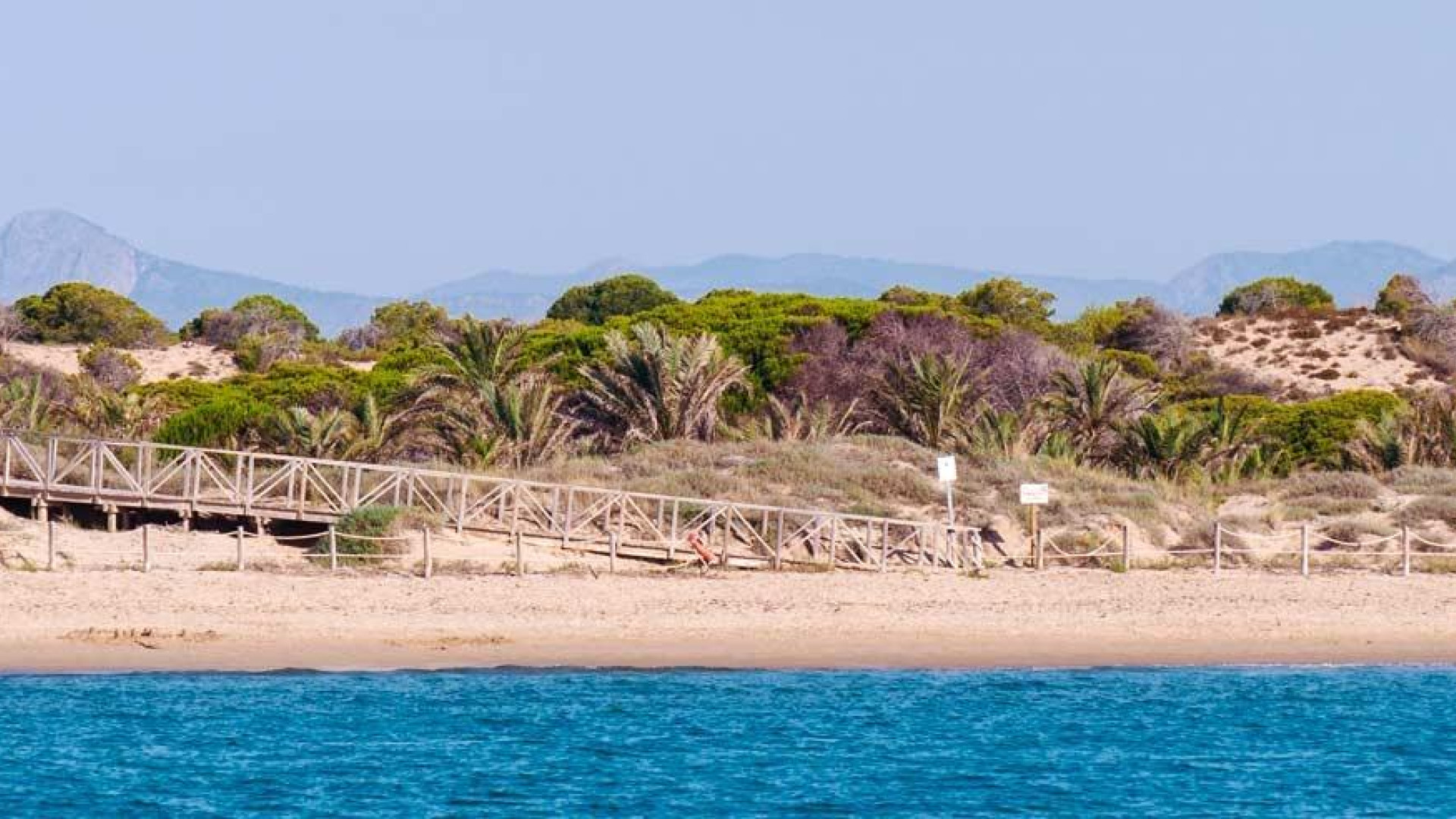 Nowa konstrukcja - Apartment - Guardamar del Segura - Pueblo