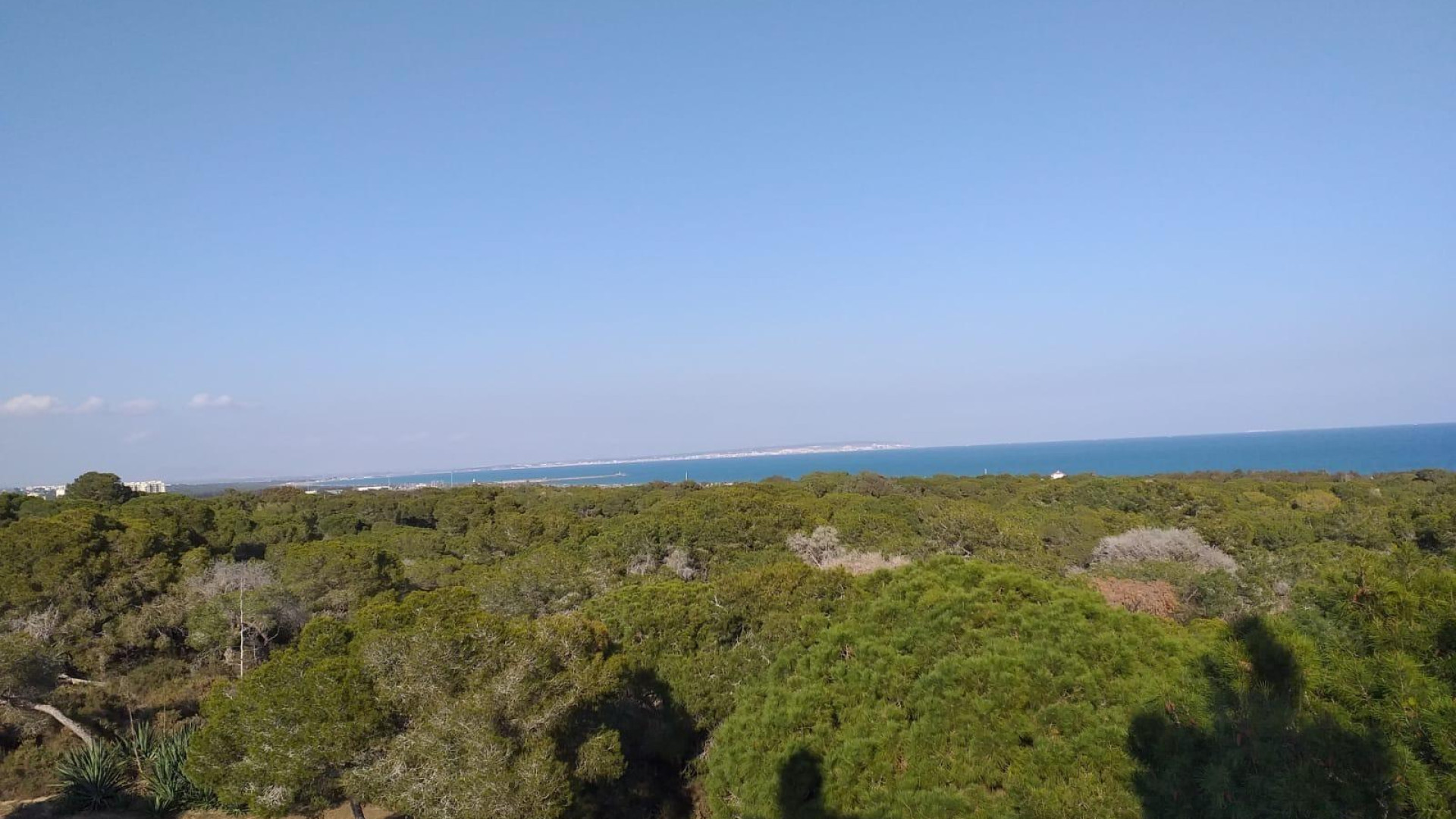 Nowa konstrukcja - Apartment - Guardamar del Segura - Pueblo