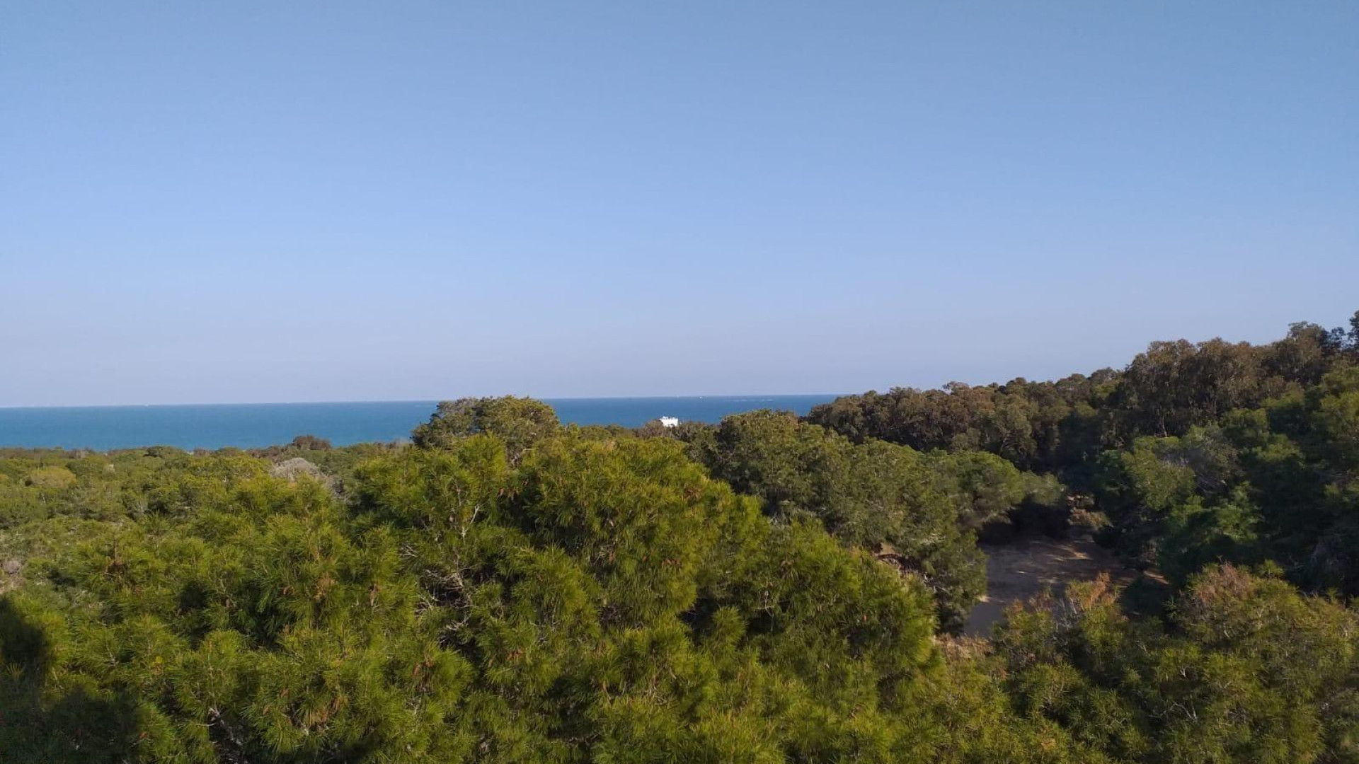 Nowa konstrukcja - Apartment - Guardamar del Segura - Pueblo